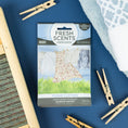 Load image into Gallery viewer, A Fresh Scents Clean Clothes - Sachet 3pk lies on a blue surface with clothespins and a washboard. This long-lasting sachet freshens your space with flameless fragrance and features a clothesline-themed illustration.