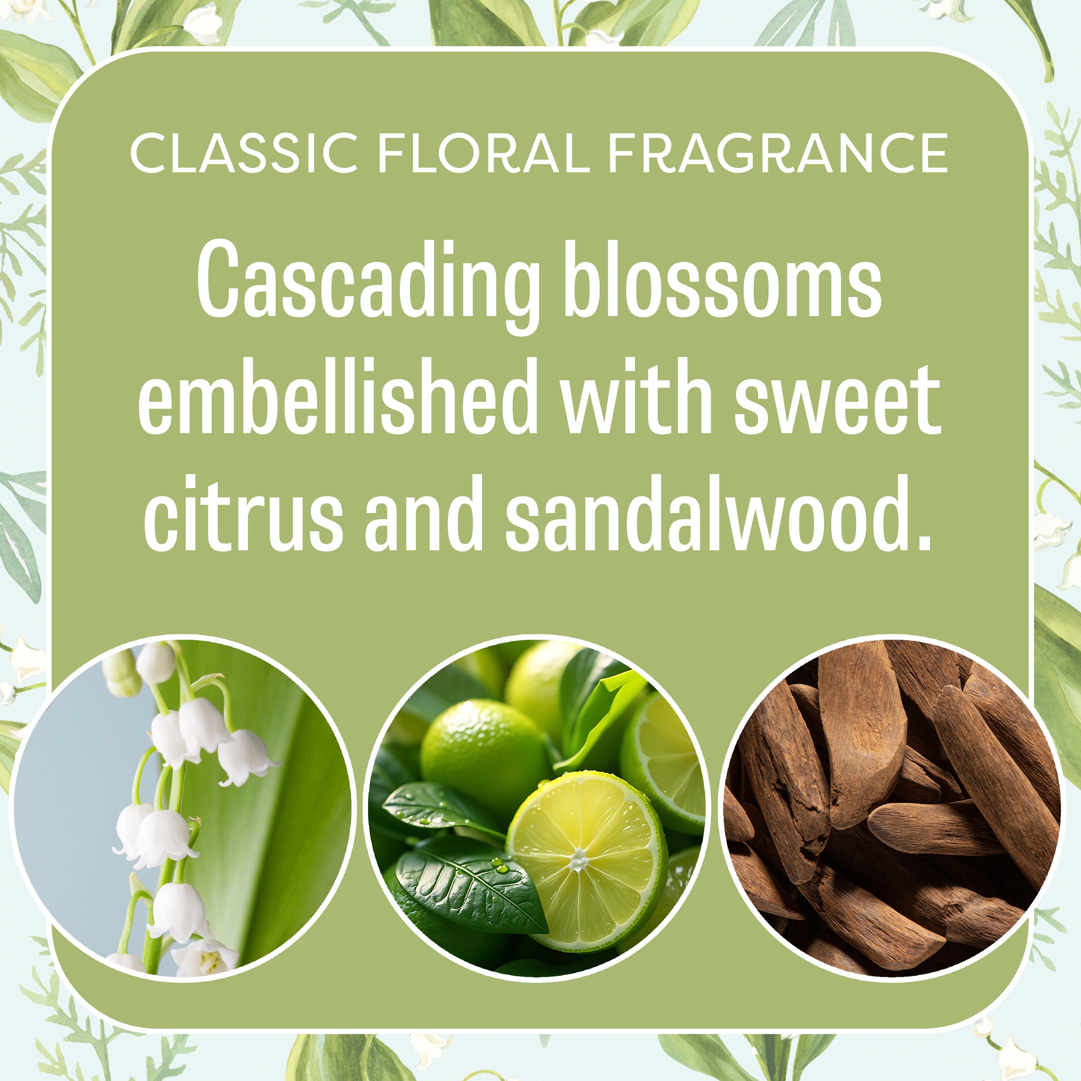 A promotional image shows Fresh Scents' Lily of the Valley - Sachet 3pk, with text: “Classic floral fragrance—Cascading blossoms, sweet citrus, and sandalwood,” plus images of lily of the valley, limes, sandalwood, and long-lasting scented sachets.