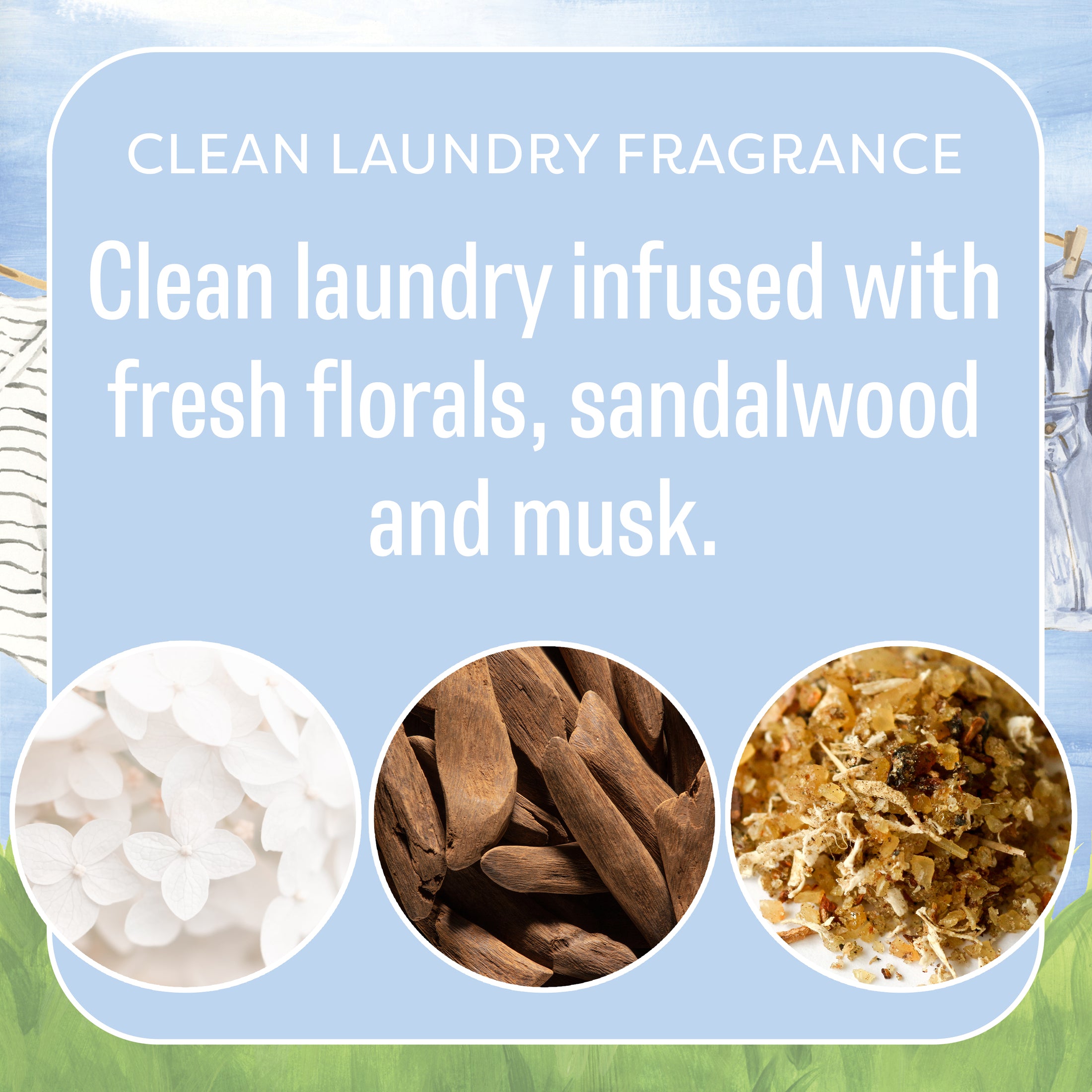 Text on a blue background reads, Fresh Scents Clean Clothes - Sachet 3pk: clean laundry with fresh florals, sandalwood, and musk. Below are circular images of white petals, sandalwood sticks, and dried materials.