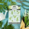 Load image into Gallery viewer, A Fresh Scents Lily of the Valley - Sachet 3pk, a flameless air freshener with long-lasting fragrance, sits on a blue surface among fern leaves, garden shears, a white watering can, and lily of the valley flowers wrapped in brown paper.
